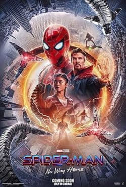 Spider-Man: No Way Home [Hindi]