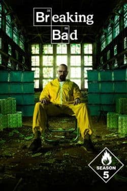 Breaking Bad [Hindi] S1 - S5