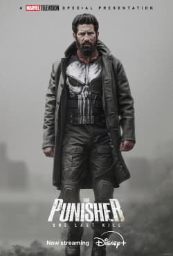The Punisher: One Last Kill